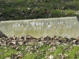 image of grave number 732822